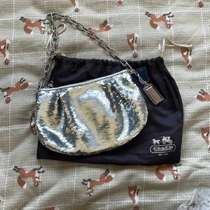 Silver sequin bag